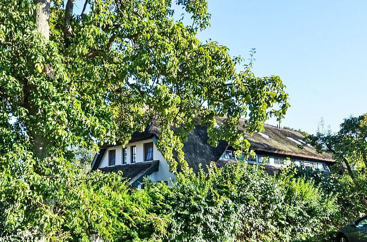 Vakantiehuis Strandhafer