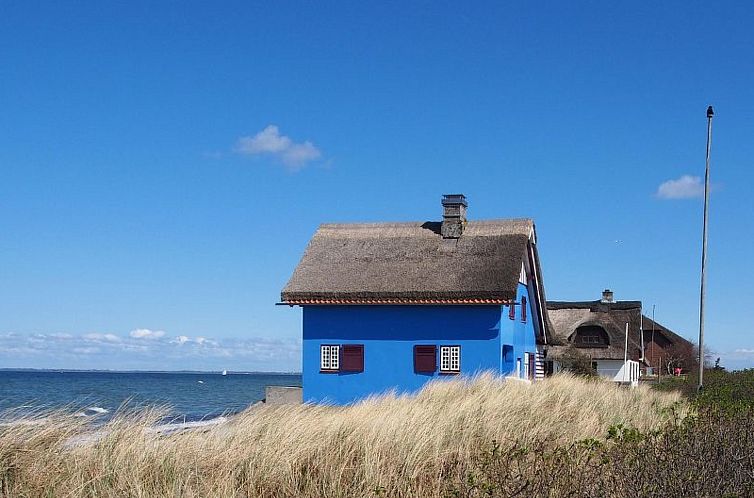 Appartement Seestern41