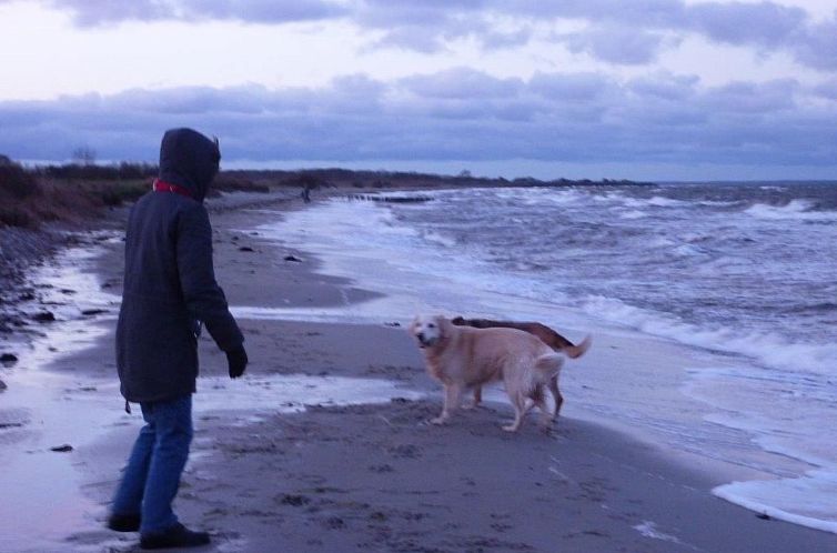 Vakantiehuis Dänemark in Gelting