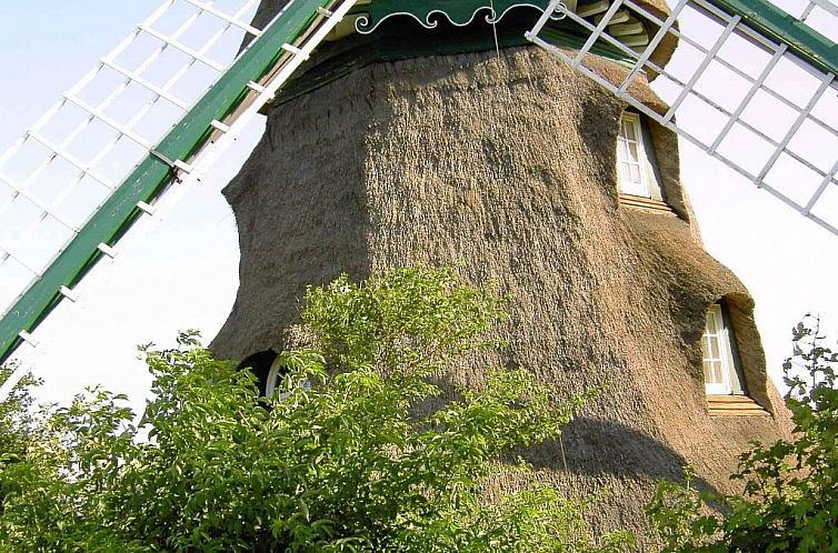 Vakantiehuis Dänemark in Gelting