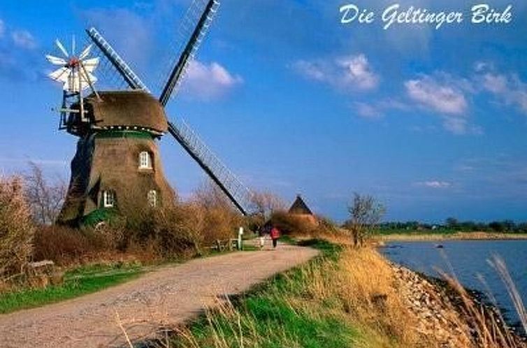 Appartement Sabricke