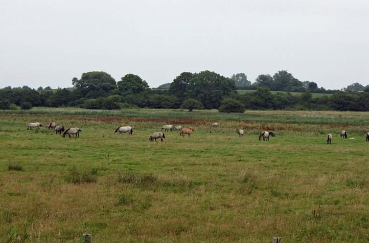 Appartement Sabricke