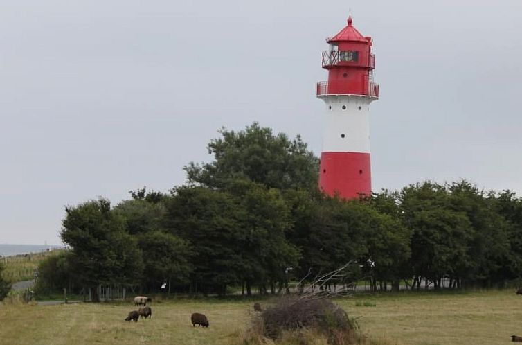 Appartement Sabricke