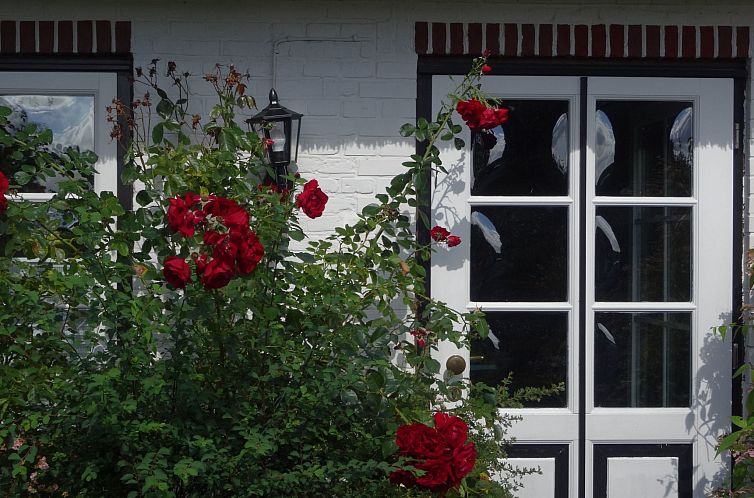 Appartement Zum Leuchtturm