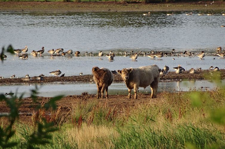 Appartement Zum Leuchtturm