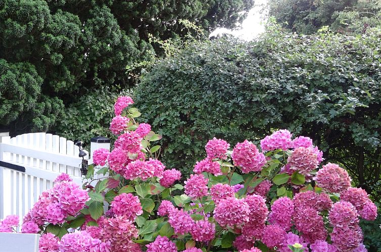 Appartement Geltinger Bucht