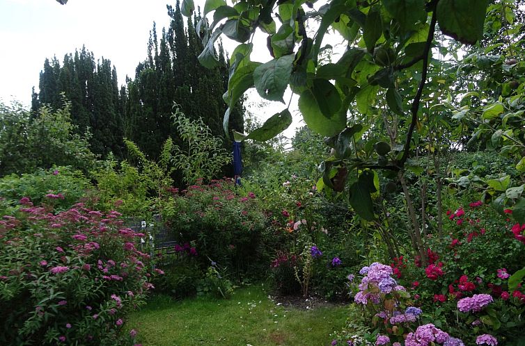 Appartement Geltinger Birk