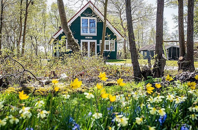 Vakantiehuis Kijkduin in Midsland, Terschelling omgeven door bloeiende natuur op de Waddeneilanden.