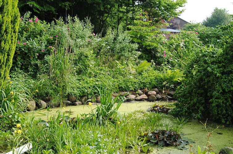 Appartement Schule 7