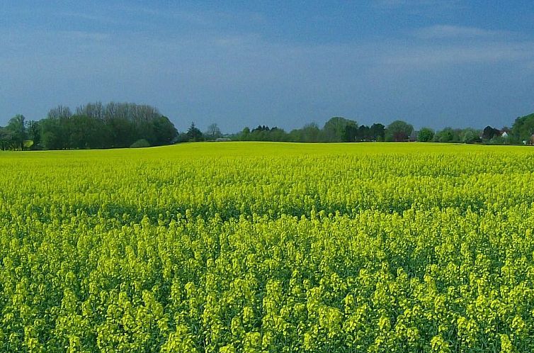 Appartement Wohnung in beliebtem Gästehaus mit Fahrradverle