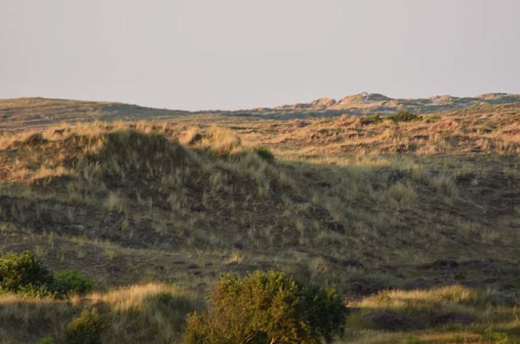Vakantiehuisje in Oosterend Terschelling