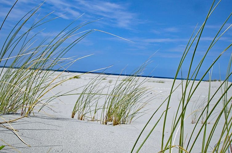 Vakantiehuisje in Oosterend Terschelling