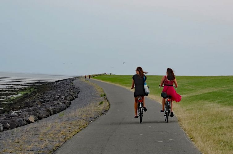 Vakantiehuisje in Oosterend Terschelling