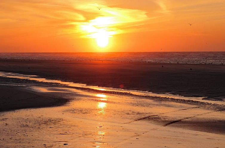 Vakantiehuisje in Oosterend Terschelling