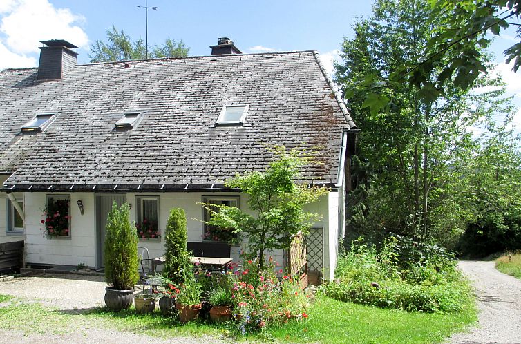 Unterkunft 0310402 - Appartement Schwarzwald - Appartement Blechnerhof