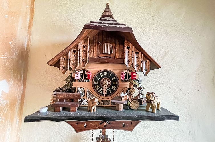Vakantiehuis Black Forest Hideaway