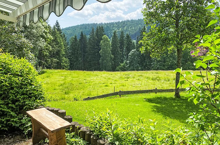 Vakantiehuis Black Forest Hideaway