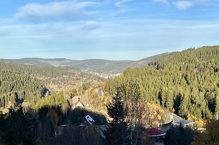 Appartement Falkennest - mit Blick auf den Titisee