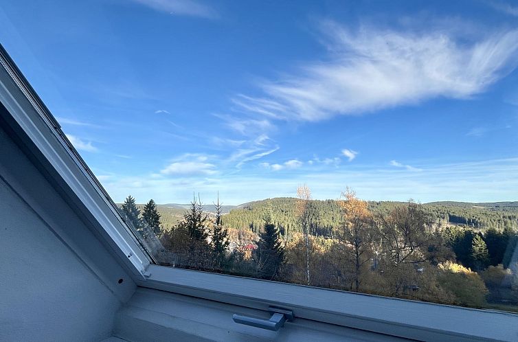 Appartement Falkennest - mit Blick auf den Titisee