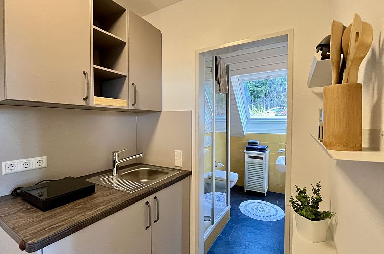 Appartement Falkennest - mit Blick auf den Titisee