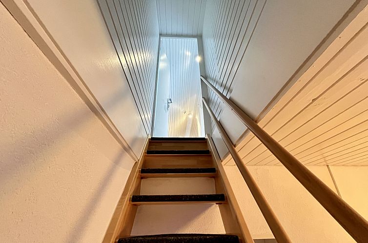Appartement Falkennest - mit Blick auf den Titisee