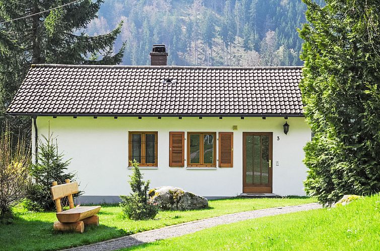 Guest house 0310407 - Holiday property Black Forest - Vakantiehuis Ferienhaus Licht