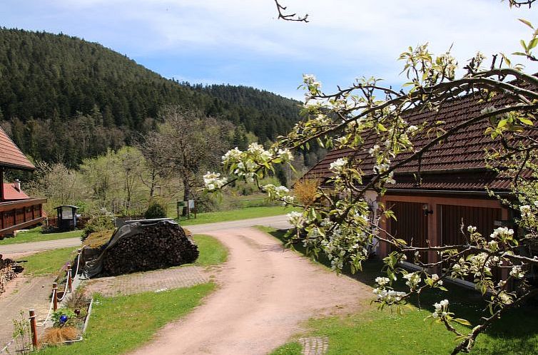 Vakantiehuis Backhäusle
