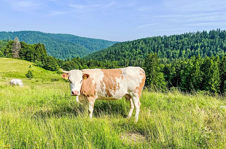 Appartement Tannenblick