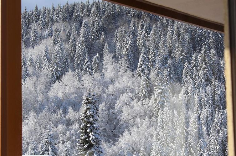 Appartement Kuschelnest Oase
