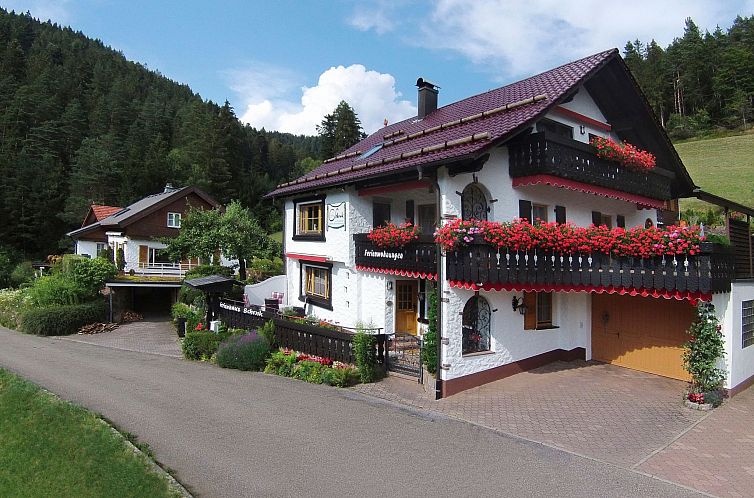 Guest house 0311108 - Apartment Black Forest - Appartement FeWo Weissenbach