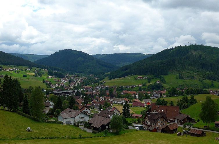 Appartement FeWo Weissenbach