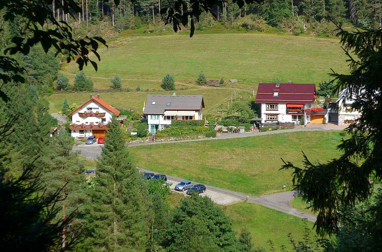 Appartement FeWo Weissenbach