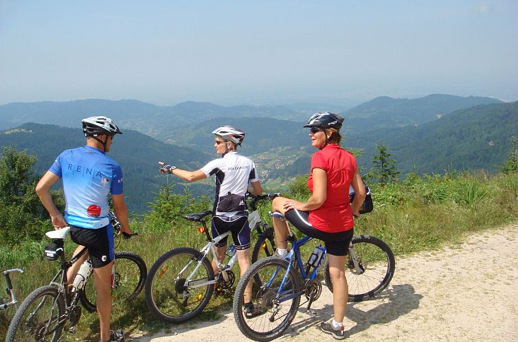 Appartement Schwarzwald Idylle