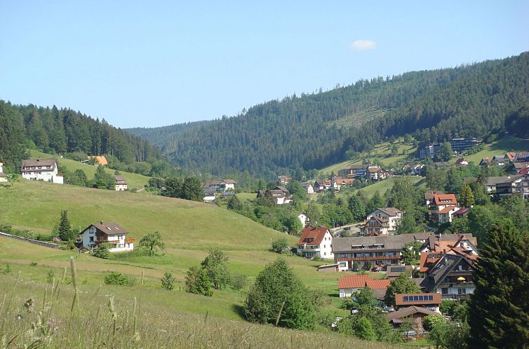 Appartement Schwarzwald Idylle