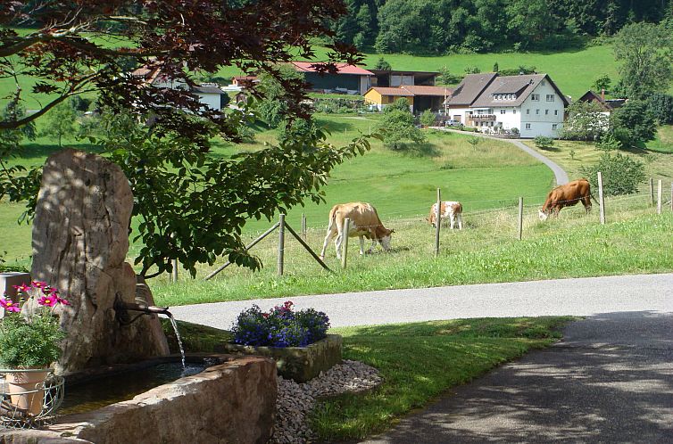 Appartement Schwarzwald Idylle