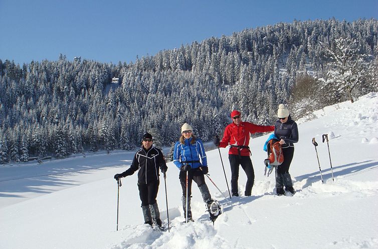 Appartement Schwarzwald Idylle