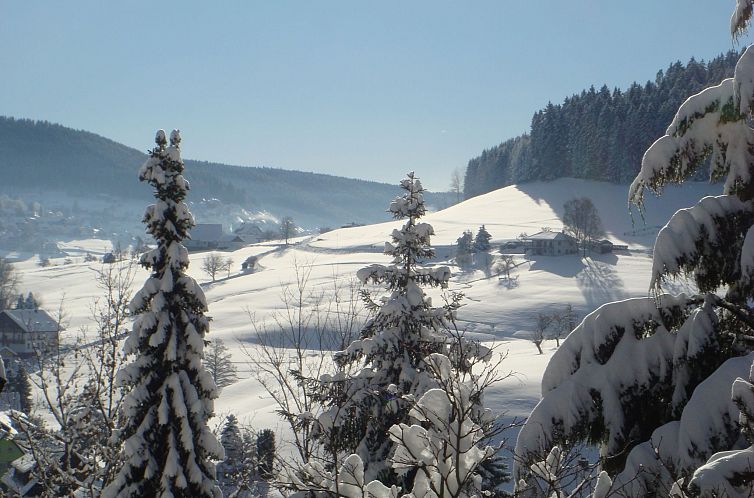 Appartement Schwarzwald Idylle