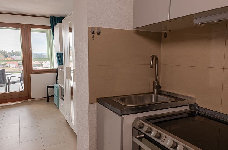 Appartement Sonnenschein (B 110)