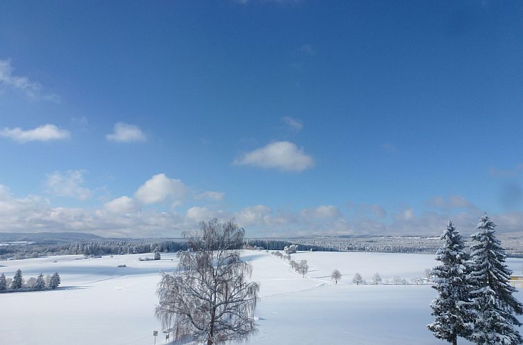 Appartement Sonnenschein (B 110)