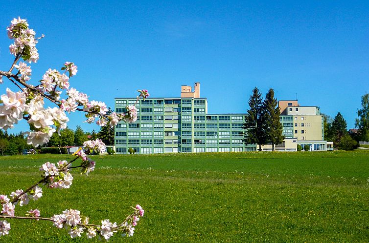 Appartement Buntspecht (G 25)