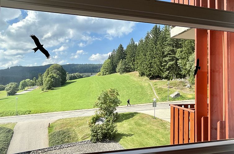 Appartement Schöne Aussicht (App 1406 / EX-Kurhotel)
