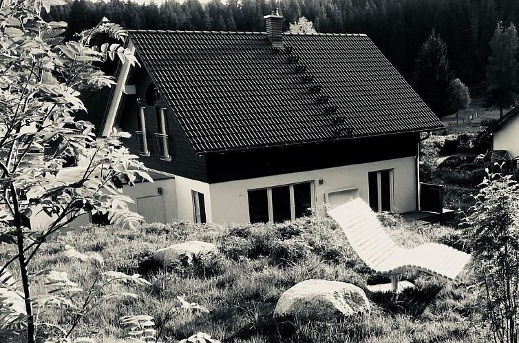 Vakantiehuis Schluchseehuus