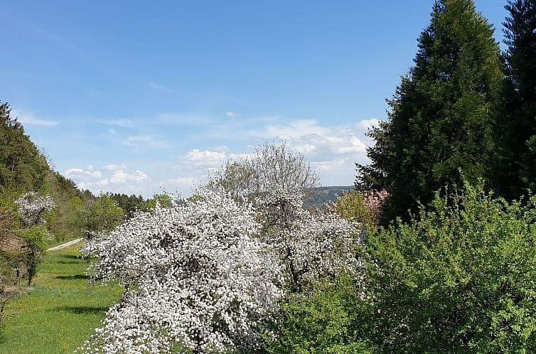 Appartement Schwarzwaldglück