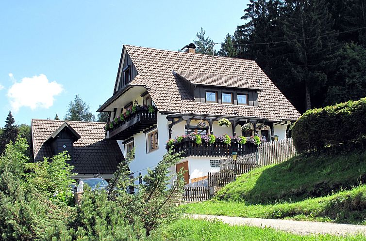 Guest house 03112002 - Apartment Black Forest - Appartement Tillisch