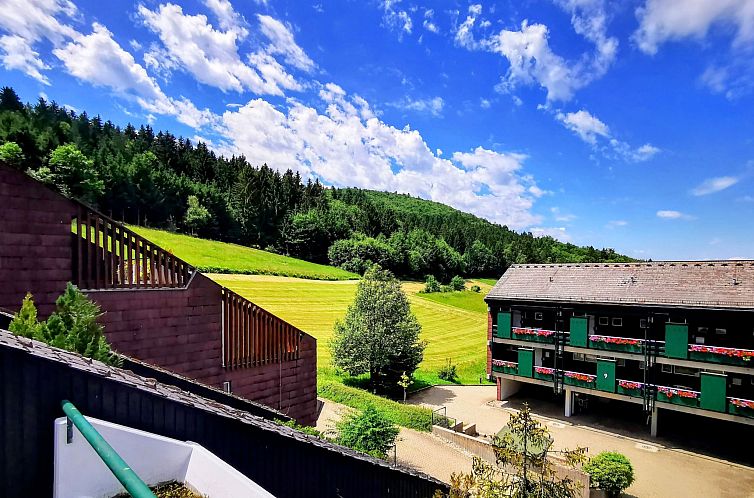 Appartement Schwarzwald Loft mit Schwimmbad und herrlicher A