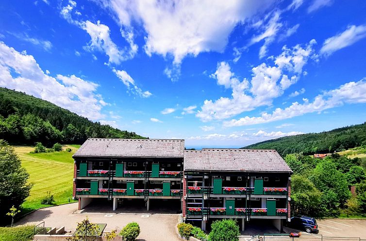 Appartement Schwarzwald Loft mit Schwimmbad und herrlicher A