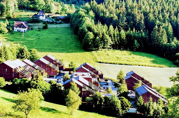 Appartement Schwarzwald Loft mit Schwimmbad und herrlicher A
