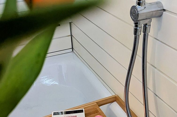 Appartement Schwarzwald Loft mit Schwimmbad und herrlicher A