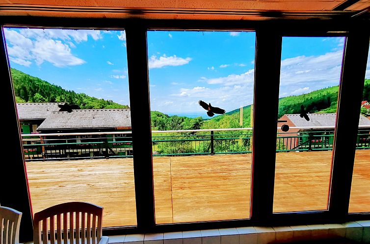 Appartement Schwarzwald Loft mit Schwimmbad und herrlicher A