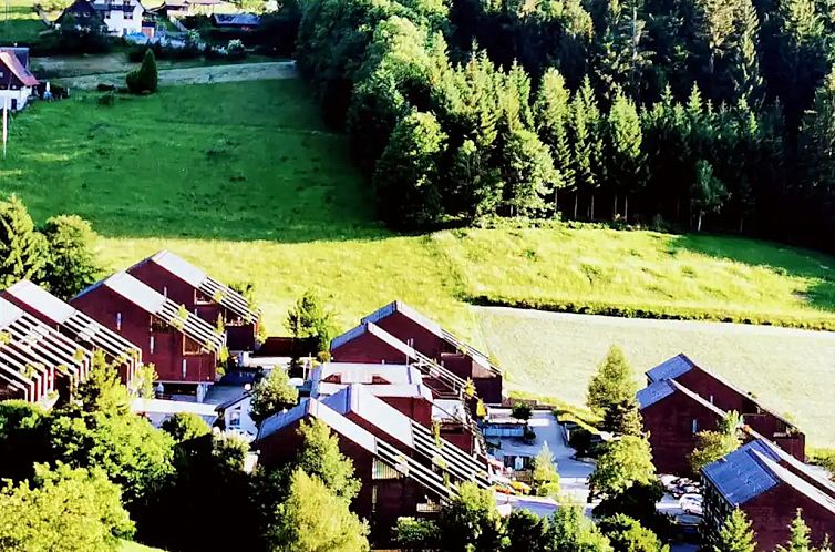 Loft in het Zwarte Woud - Hirschperle